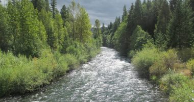 South Fork McKenzie River Diversion